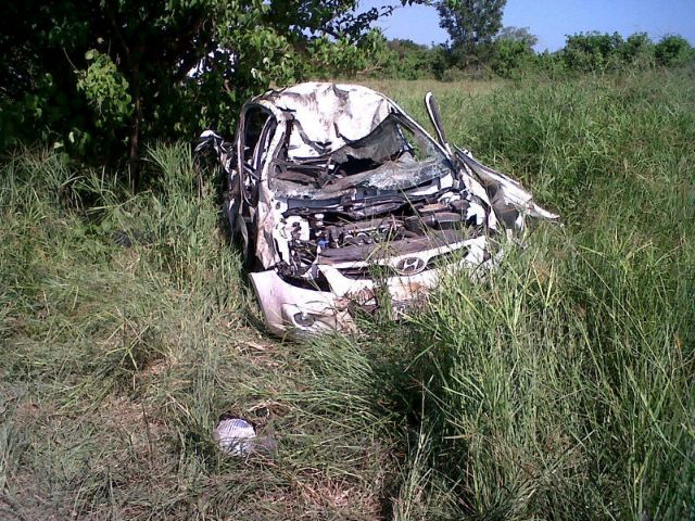 Ελέφαντας τα έβαλε με τουρίστες σε πάρκο της Νότιας Αφρικής